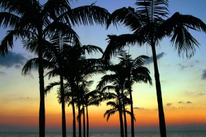 floridaiStock_000002848277Medium